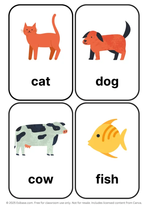 Animals ESL Flashcards