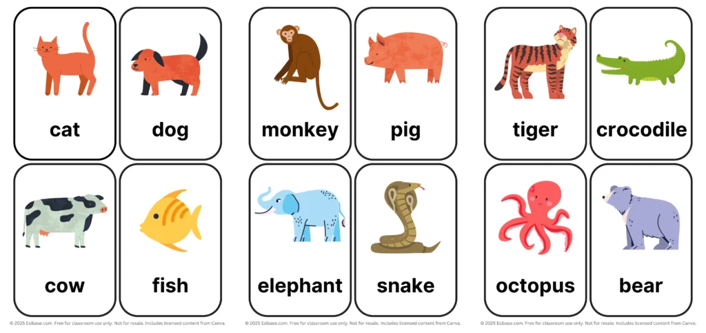 ESL Flashcards