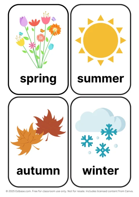 Seasons ESL Flashcards